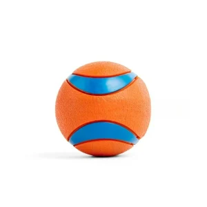 Super Bouncy Land and Water Toy for Large Dogs
