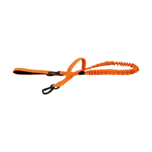 Adjustable and Elastic Leash with Quick Release and 2 Control Handles