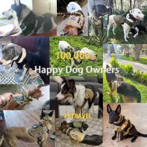 Tactical Training Walking Vest Dog Harnesses Collar and Leash with Molle