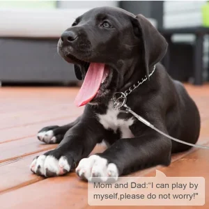 Outdoor Anti-Rust Double-headed Cable Leash