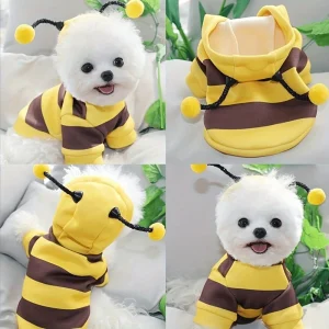 Cute Bee Costume Pet Outfit for Halloween