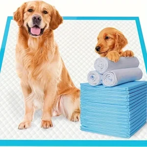XXL Disposable Dog Training Pads – Super Absorbent & Leak-Proof