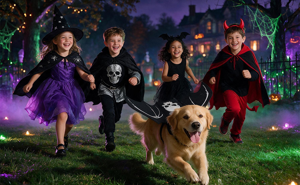 Halloween Bat Wing Dog Costume - Image 11