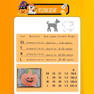Pumpkin Lantern Pet Costume - Thumbnail Image 10