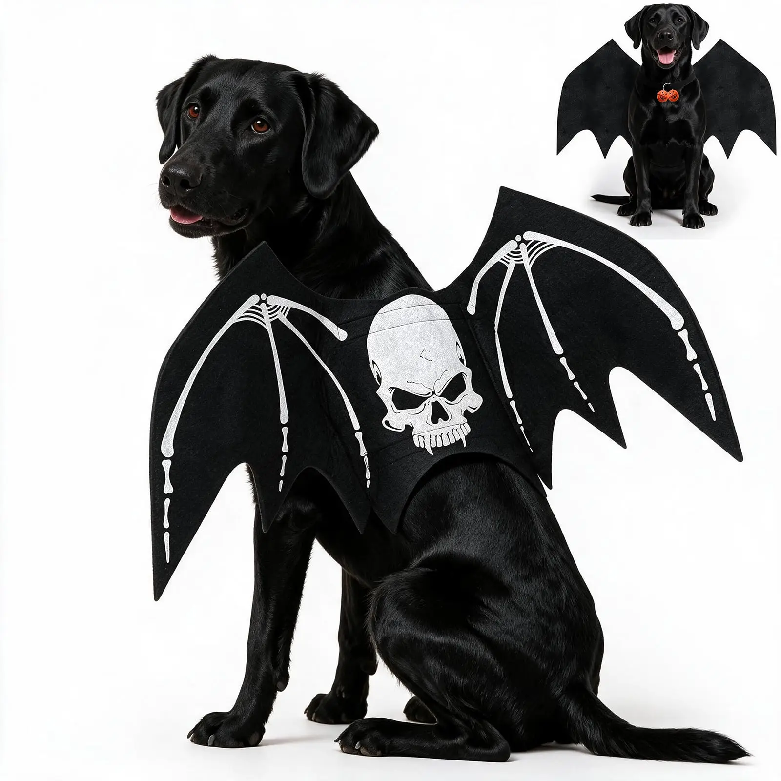 Halloween Bat Wing Dog Costume - Image 1