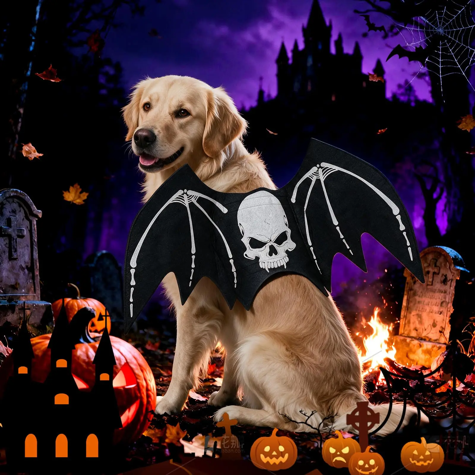 Halloween Bat Wing Dog Costume - Image 5