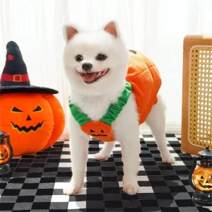 Pumpkin Lantern Pet Costume - Thumbnail Image 3