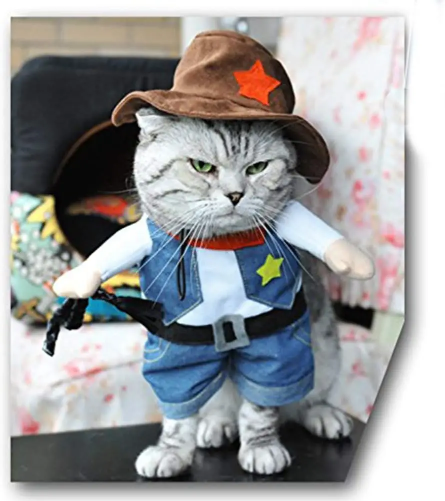 Funny Pet Cowboy Halloween Costume for Cat or small dog - Image 3