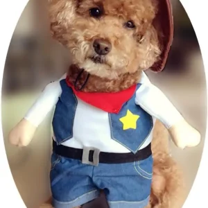 Funny Pet Cowboy Halloween Costume for Cat or small dog - Thumbnail Image 14