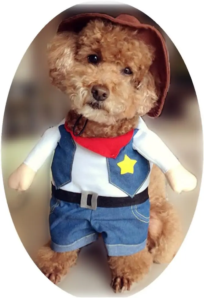 Funny Pet Cowboy Halloween Costume for Cat or small dog - Image 14