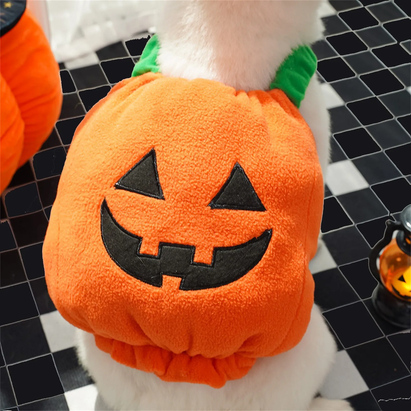 Pumpkin Lantern Pet Costume - Image 11