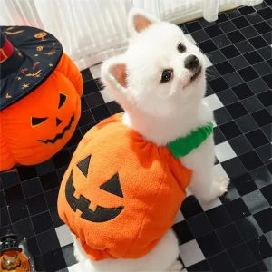 Pumpkin Lantern Pet Costume
