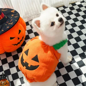 Pumpkin Lantern Pet Costume - Thumbnail Image 7