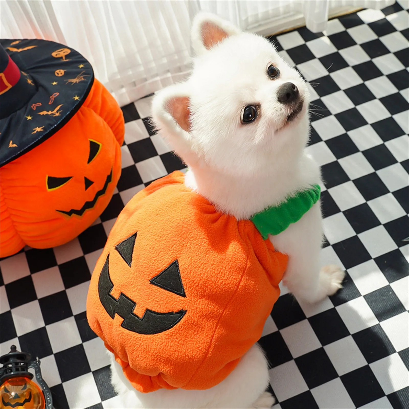 Pumpkin Lantern Pet Costume - Image 7
