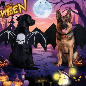 Halloween Bat Wing Dog Costume - Thumbnail Image 8