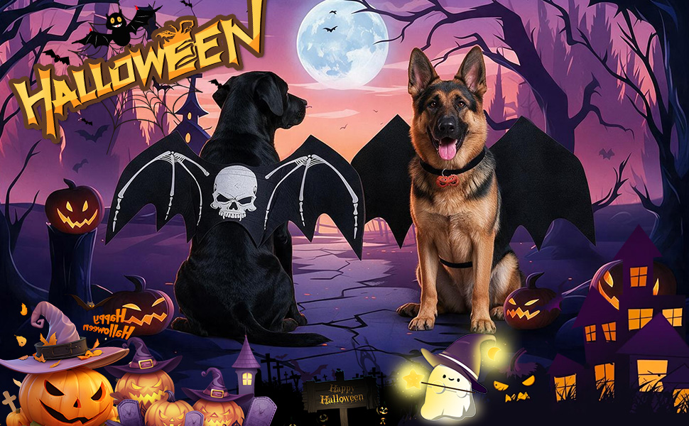 Halloween Bat Wing Dog Costume - Image 8